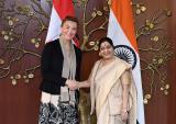 Visit of Deputy Prime Minister and Foreign Minister of Croatia to India (October 20–22, 2018)