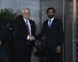 Visit of High Representative for Foreign Affairs and Security Policy and Vice President of the European Commission to India (January 16-18, 2020)
