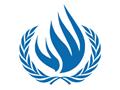 संयुक्त राष्ट्र मानवाधिकार कार्यतंत्र के समक्ष दुविधा